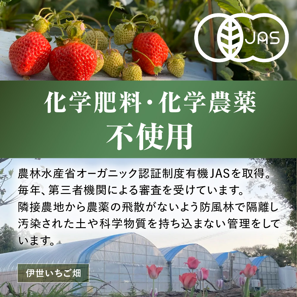 オーガニックあまおう 「いせいちご」 おまかせ4パック（大粒）【伊世いちご畑】_HA1019