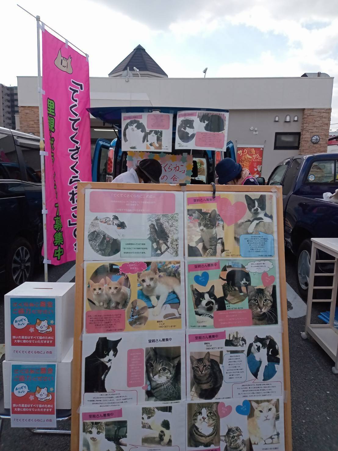 【返礼品なし】「「むな猫（旧：てくてくさくらねこ）」　地域猫活動支援【むな猫】_HA1118