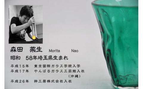 沖ノ島朱・大島翡翠　タンブラーセットNM-12S【粋工房】_HA1197