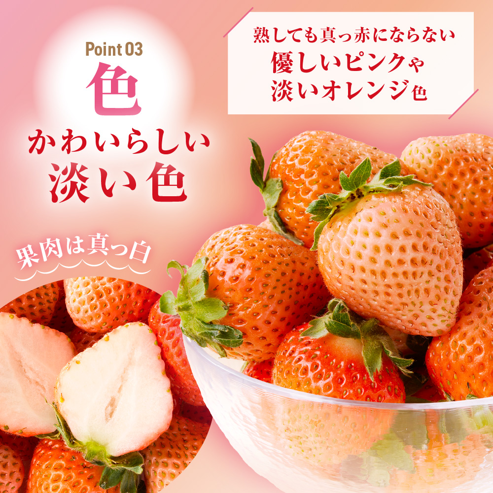 【先行予約】【2025年12月中旬より順次発送】福岡県産　桃薫　2パックセット【ナチュレッシュ・ファーム・ジェイピー】_HA1338