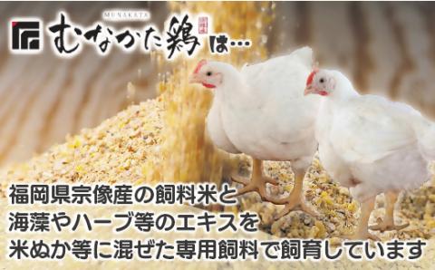 宗像産ブランド鶏【むなかた鶏】ムネ肉4kg（平飼い）【JAほたるの里】_HA1419