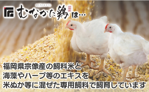 宗像産ブランド鶏【むなかた鶏】ムネ肉2kg（平飼い）【JAほたるの里】_HA1420