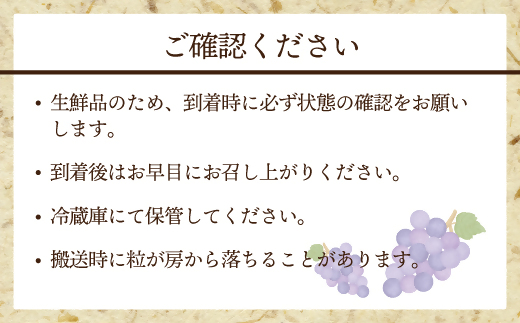 【2026年収穫分 先行予約】【JAむなかたより】巨峰1.2kg【JAほたるの里】_HA1476