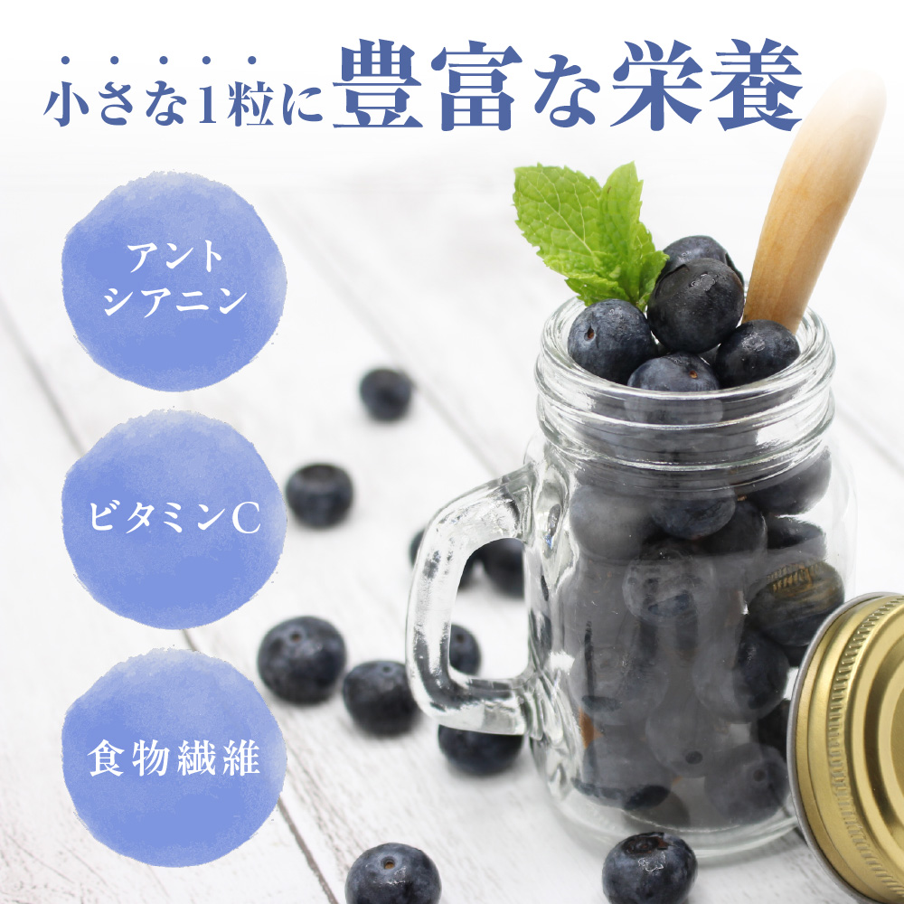 有機栽培・栽培期間中農薬不使用！急速冷凍ブルーベリー 1.2kg 【JAほたるの里】_HA1517