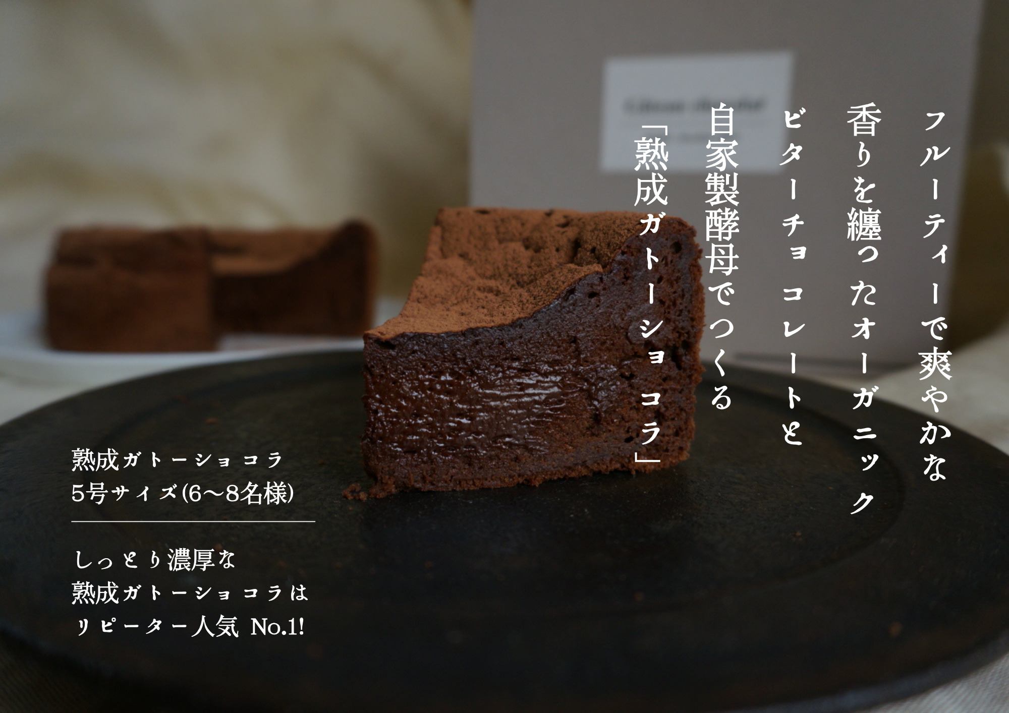熟成ガトーショコラ【たねのおやつ】_HA1675