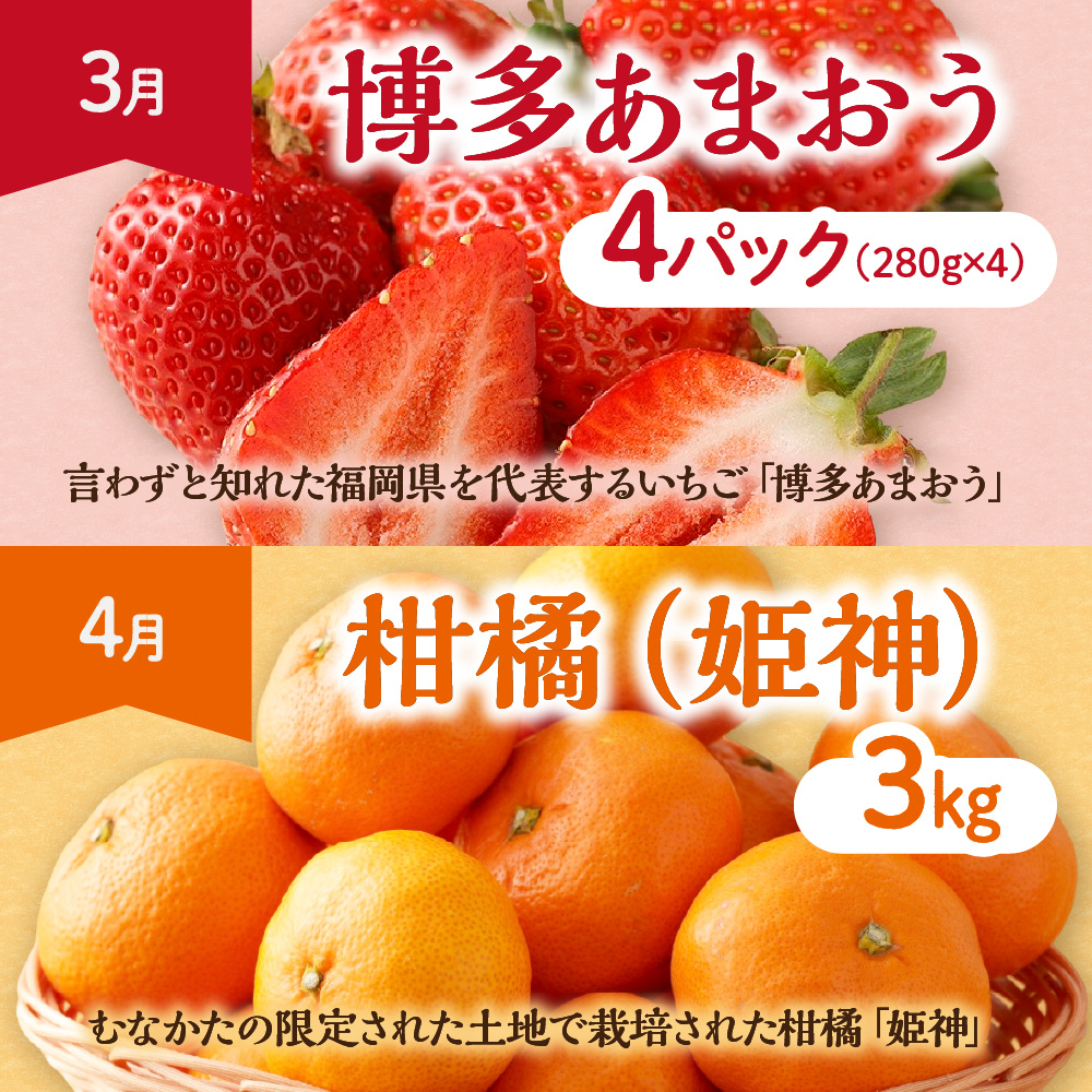 【定期便/年11回】JAむなかた厳選！旬のフルーツ定期便【JAほたるの里】_HB0171
