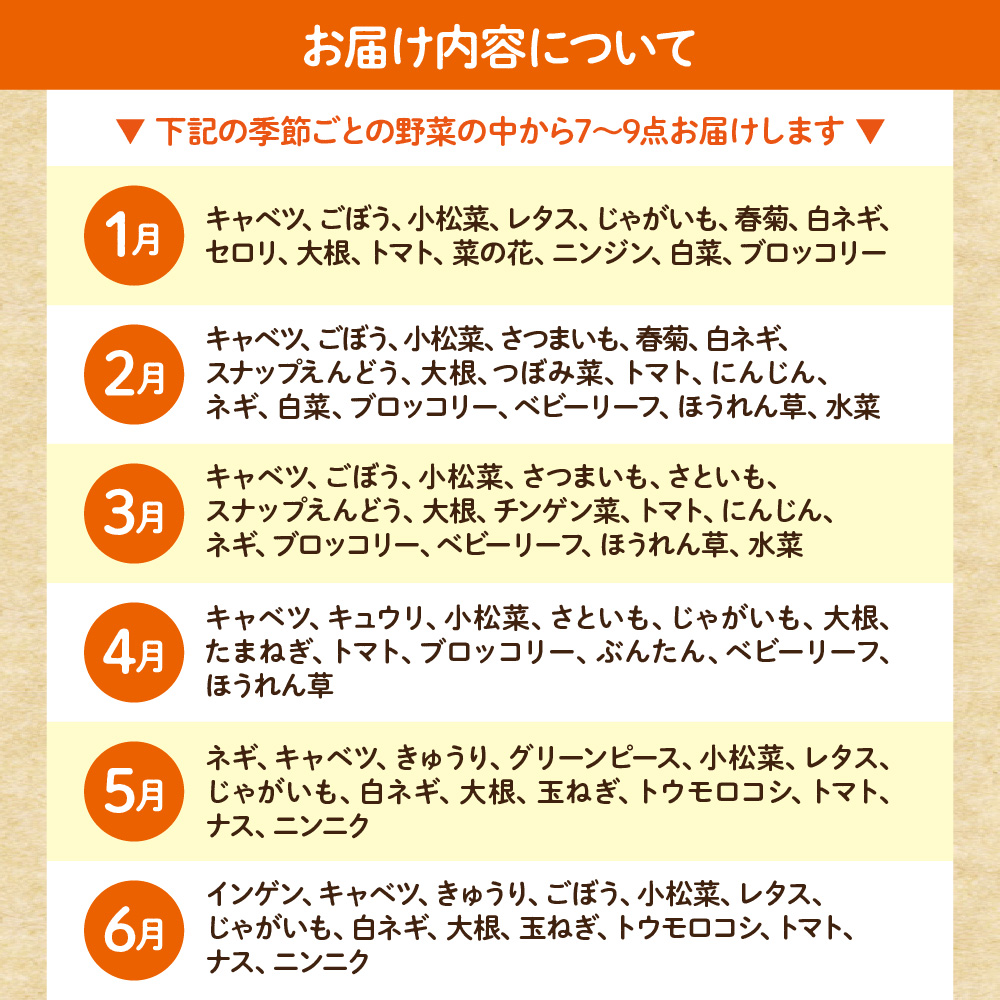 【毎月お届け】むなかた旬のお任せセット（野菜）7～9品【JAほたるの里】_HB0173