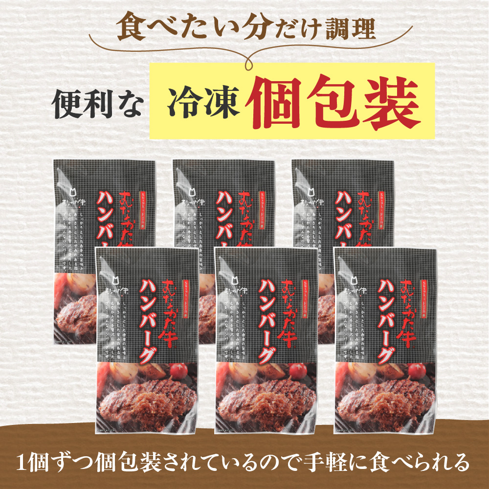 【定期便／年6回／偶数月お届け】むなかた牛ハンバーグ12個セット6回定期便【道の駅むなかた】_HB0212