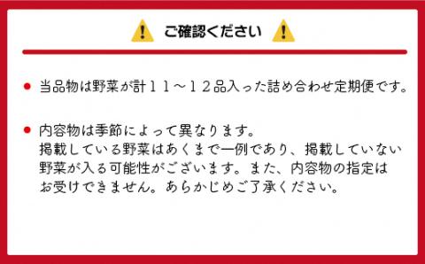 【定期便／年6回／奇数月お届け】むなかた旬の野菜お任せセット（11～12品）【ほたるの里】_KB0026