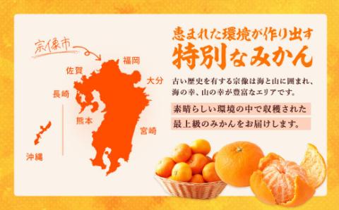 旬のミカンをお届け！JAむなかた柑橘ブランド「姫の神」3kg 甘くておいしいみかん【2024年1月～4月上旬発送】【ほたるの里】_KA0281