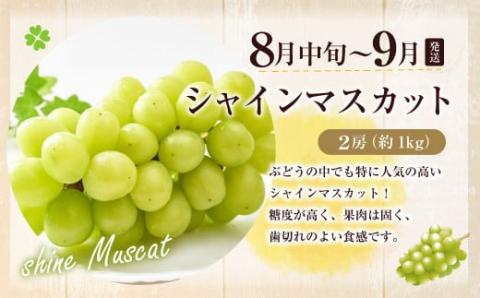 【定期便/年4回】ＪＡむなかた厳選！人気のフルーツ定期便【ほたるの里】_KB0140