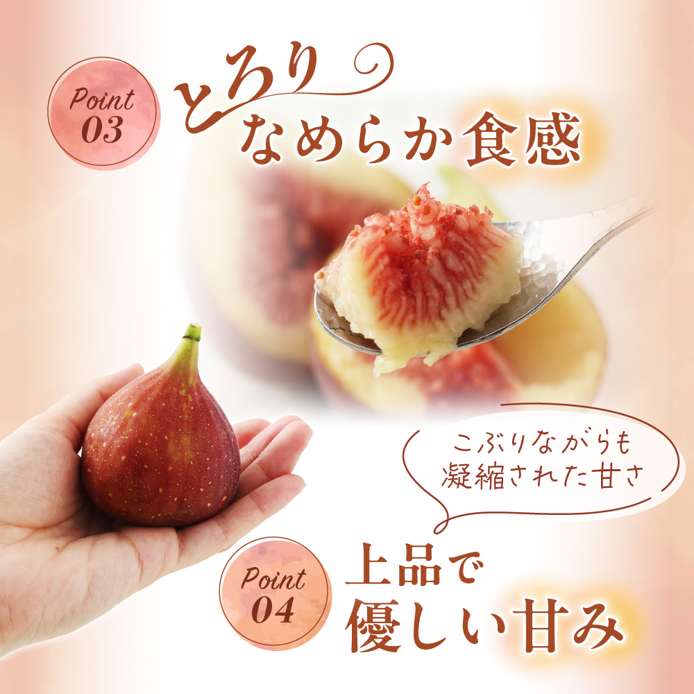 【寄附額改定！】プレミアムいちじく とよみつひめ　1.2kg【JAほたるの里】_HA0278