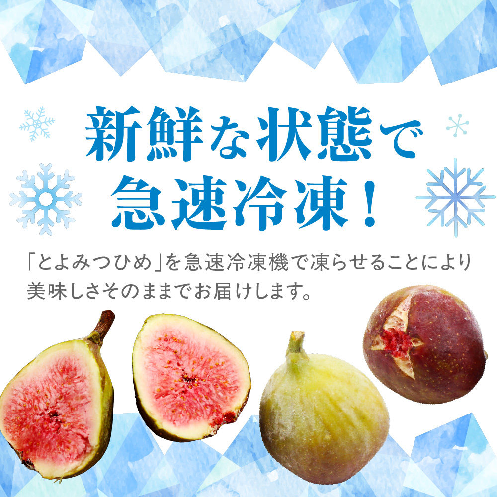 急速冷凍！福岡県特産品プレミアムいちじく「とよみつひめ」 冷凍いちじく 大容量2kg【JAほたるの里】_HA0279
