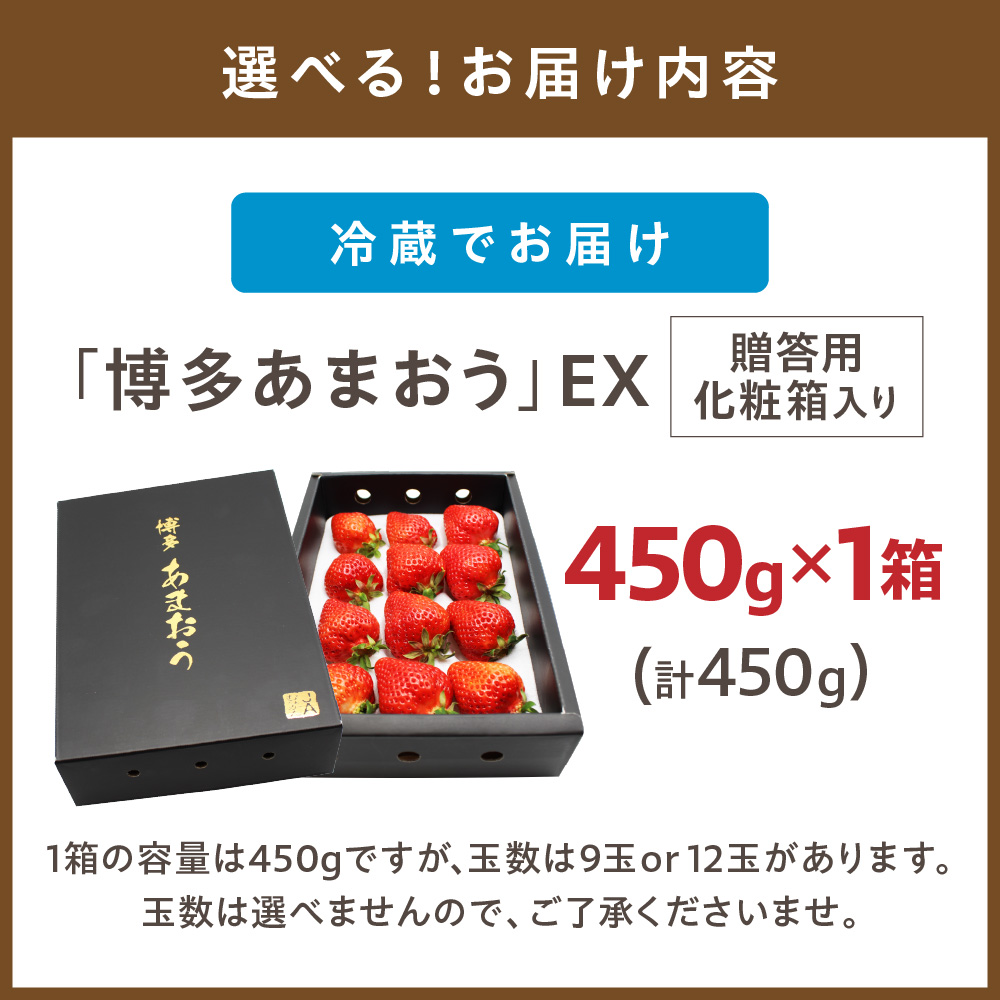 1月より順次発送！「博多あまおう」EX　贈答用化粧箱　約450g 1箱【ほたるの里】_HA0752