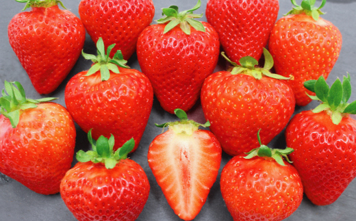 12月発送！「博多あまおう」EX　贈答用化粧箱　約450g 2箱【ほたるの里】_HA0755