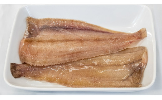 宗像特選　海産物セット【オアシス】_HA0774