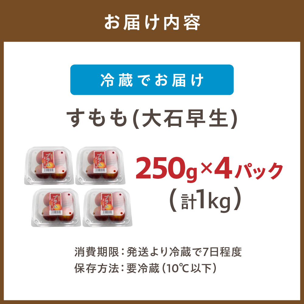 【JAむなかた すもも部会より】すもも(大石早生)1kg(250g×4パック)【JAほたるの里】_HA1254