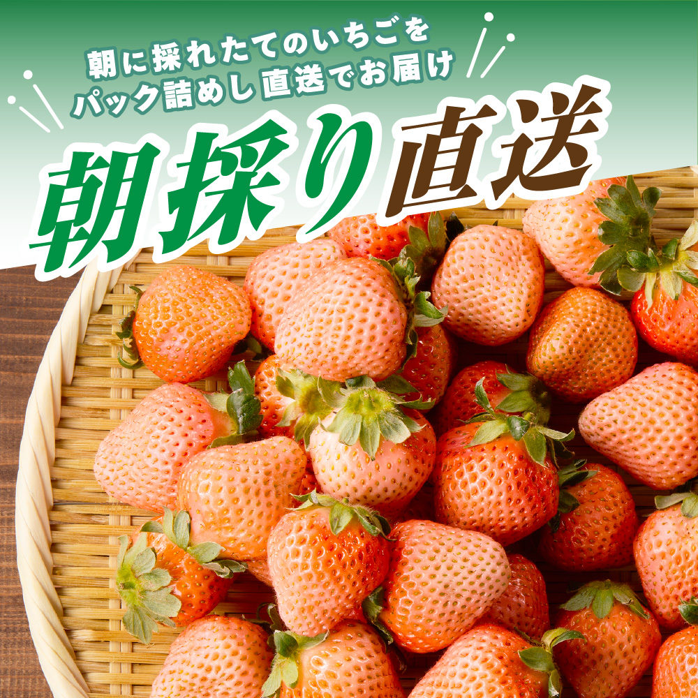 【先行予約】【2025年12月中旬より順次発送】福岡県産　桃薫　2パックセット【ナチュレッシュ・ファーム・ジェイピー】_HA1338