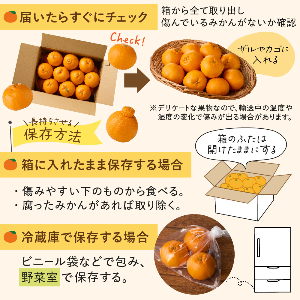 むなかた温州みかん 5kg 【2026年10月下旬～12月発送】【JAほたるの里】_HA1345