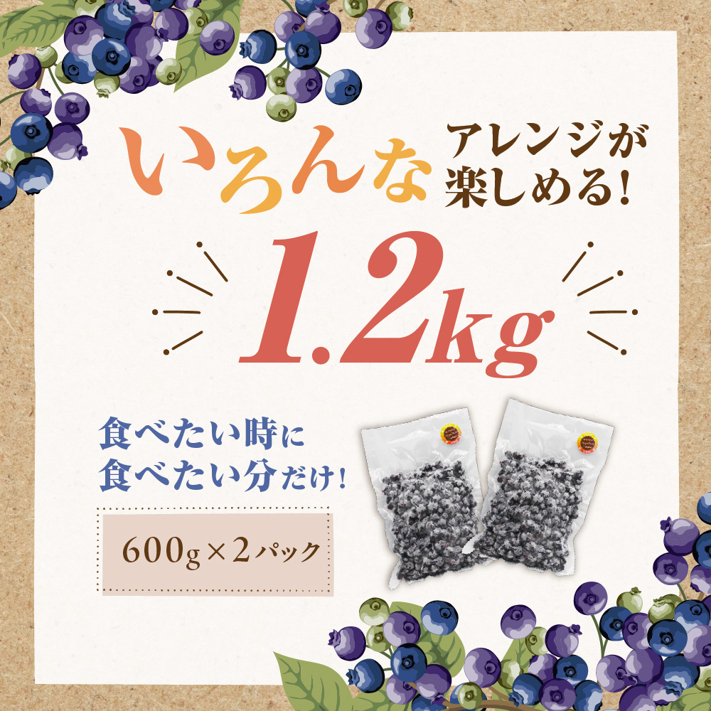 有機栽培・栽培期間中農薬不使用！急速冷凍ブルーベリー 1.2kg 【JAほたるの里】_HA1517