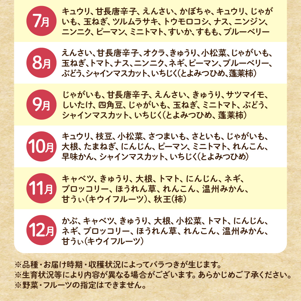 むなかた旬のお任せ セット(野菜・フルーツ)9～11品【JAほたるの里】_HA1570