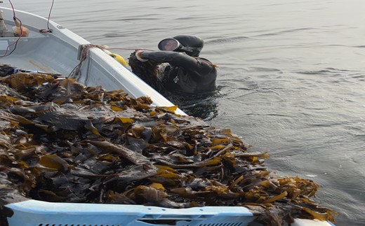 ドでか！茎わかめコロッケ（4袋セット 計12個）【宗像漁協】_HA1726
