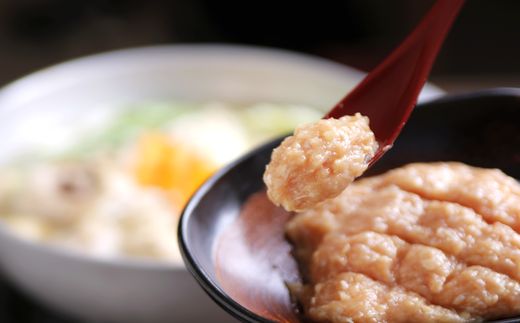 博多若杉水炊きセット（4～5人前）【株式会社Skyward】_HA1775