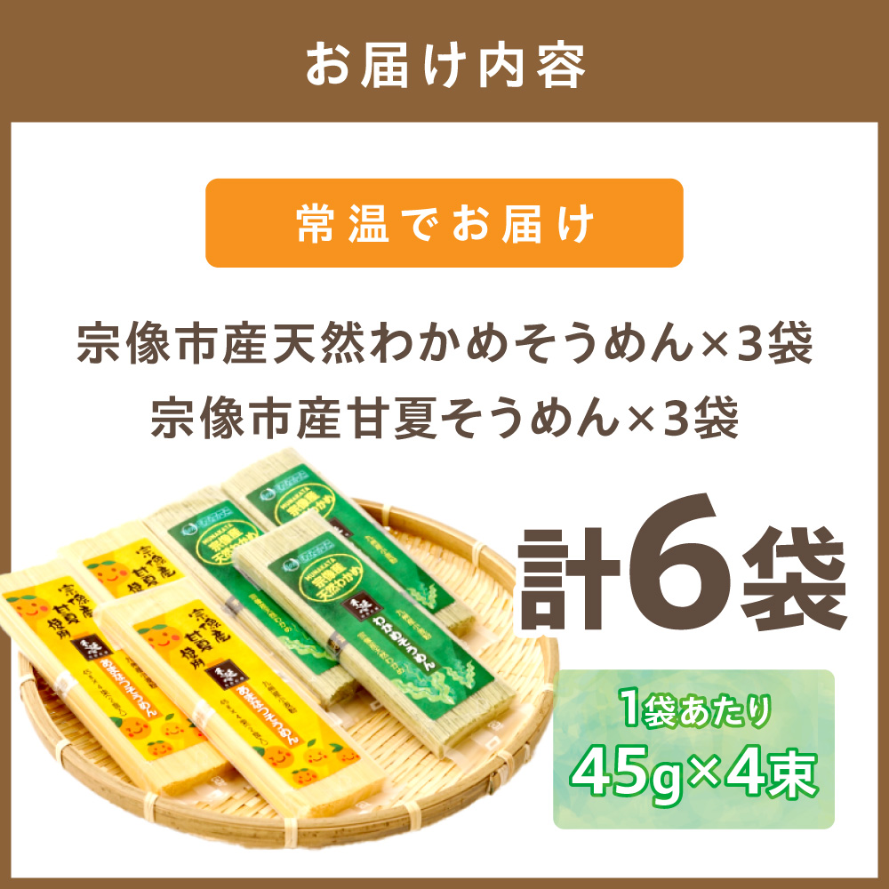 【道の駅むなかた】宗像素材の手延べそうめん彩りセット_HA1840