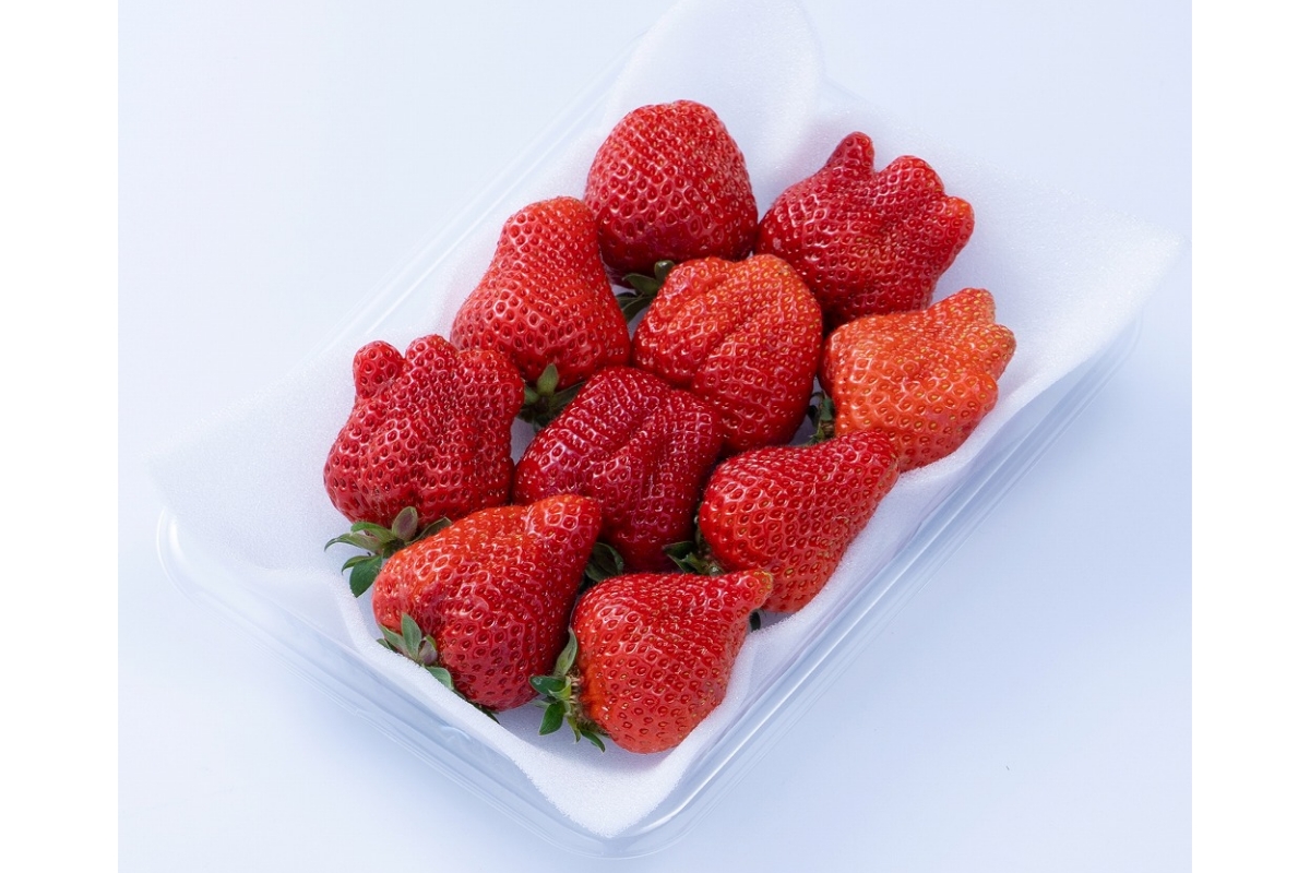 【2026年2月より順次発送】福岡産【春】あまおう4パック【南国フルーツ株式会社】_HA1906