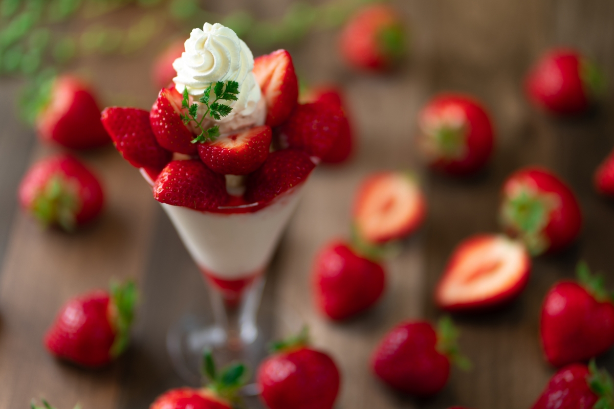 【2026年2月より順次発送】福岡産【春】あまおう6パック【南国フルーツ株式会社】_HA1907