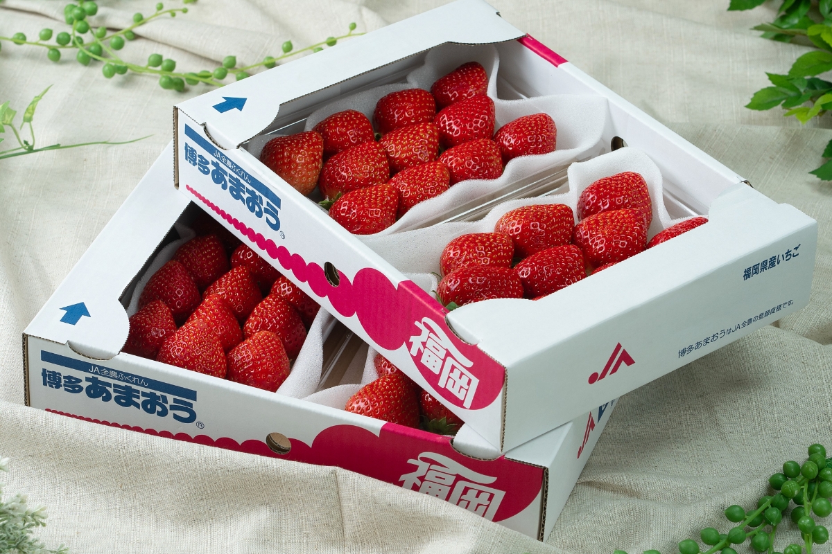 福岡産【冬】あまおう4パック【南国フルーツ株式会社】_HA1910