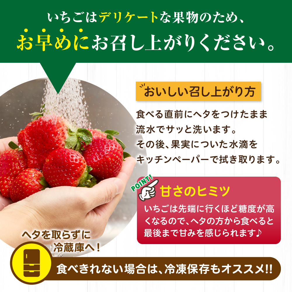 【アフター保証】 JAよりお届け！「博多あまおう」約280g×2パック【JAほたるの里】_HA1937