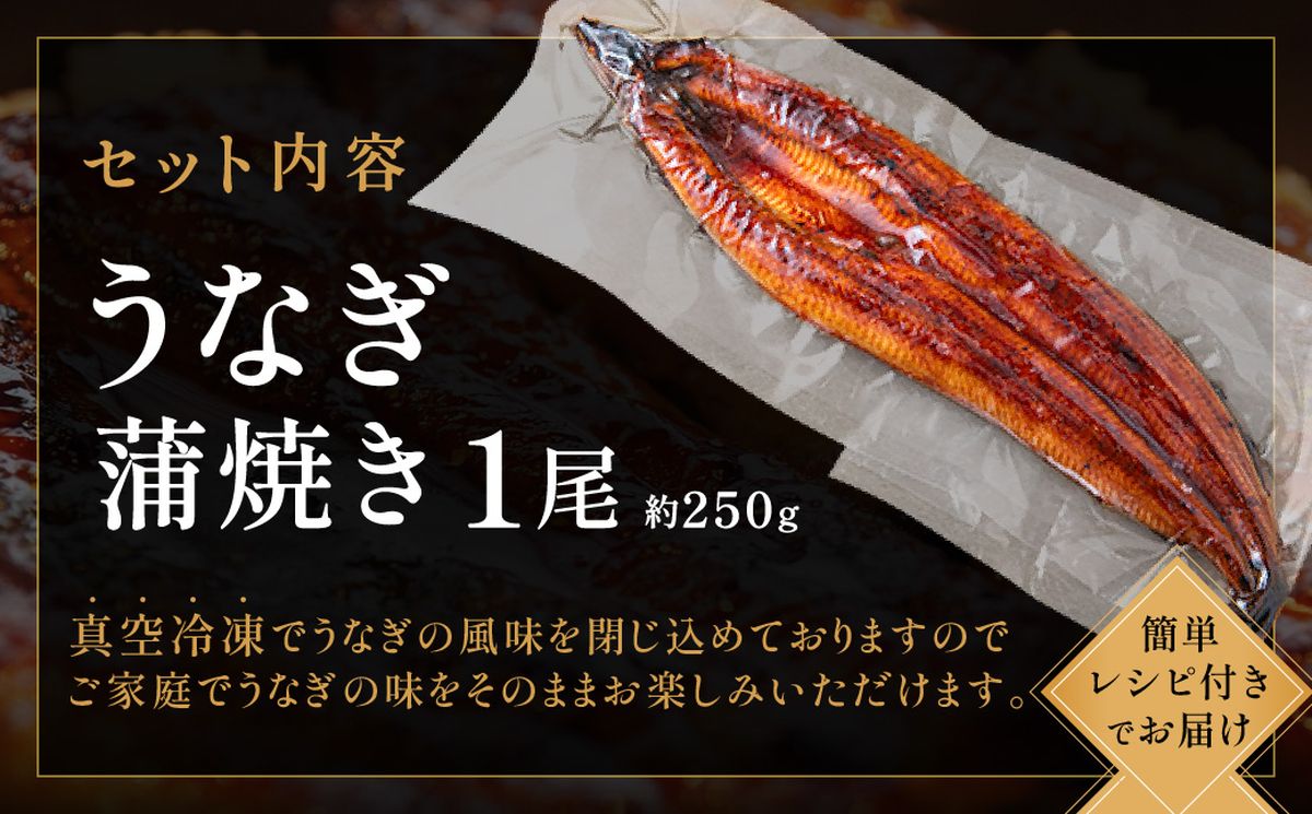 うなぎ蒲焼き1尾セット(約250g×1尾セット)【魚住商店】_HA1963 うなぎ 鰻 蒲焼 真空パック 福岡県宗像市 宗像市 福岡 宗像