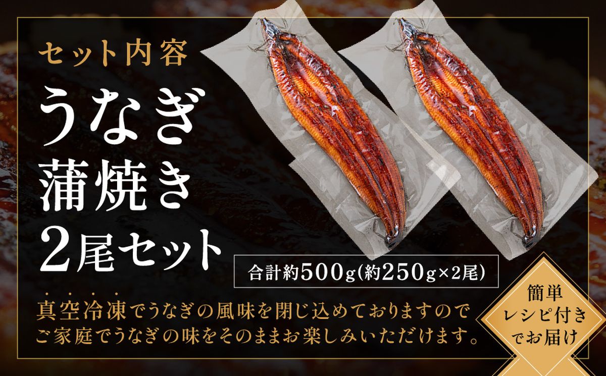 うなぎ蒲焼き2尾セット(約250g×2尾セット)【魚住商店】_HA1964 うなぎ 鰻 蒲焼 真空パック 福岡県宗像市 宗像市 福岡 宗像