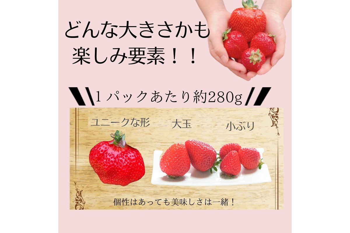 特別栽培あまおう2パック(サイズミックス)【うるう農園】_HA1967