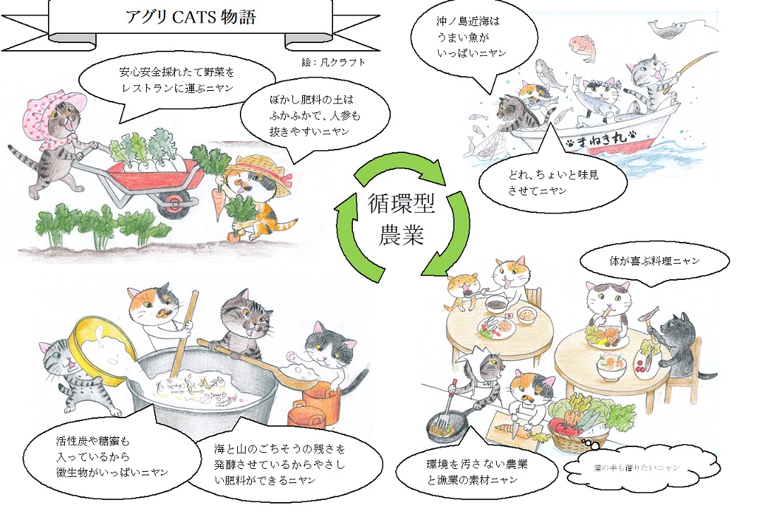 【定期便/年4回 】有機肥料で育った季節の農産物&加工品のセット【アグリCATS】_HB0115