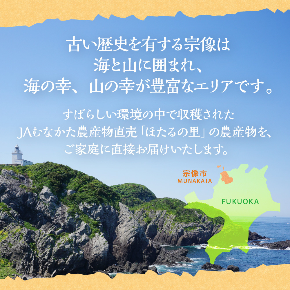 何が届くかお楽しみ！むなかた旬のフルーツ福袋定期便【年4回】【JAほたるの里】_HB0165