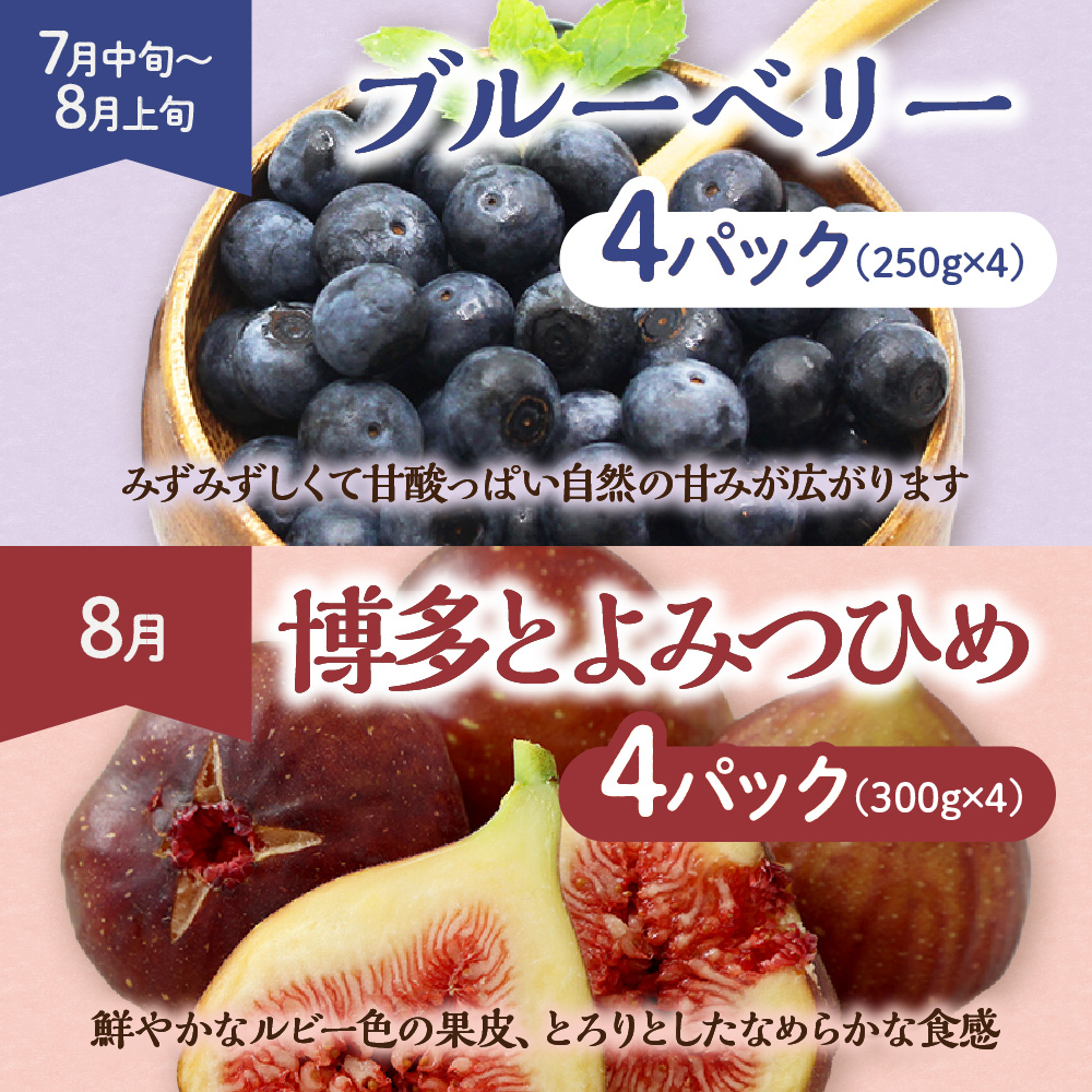 【定期便/年11回】JAむなかた厳選！旬のフルーツ定期便【JAほたるの里】_HB0171