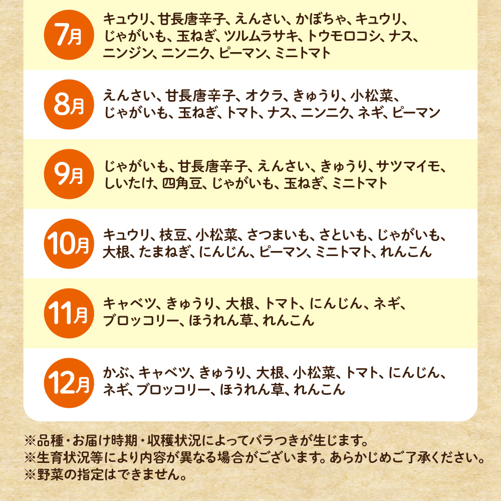 【奇数月お届け】むなかた旬のお任せセット(野菜) 7～9品【ほたるの里】_HB0172