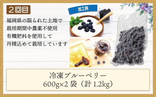 【3ヶ月連続お届け】人気の冷凍フルーツ定期便【JAほたるの里】_HB0191