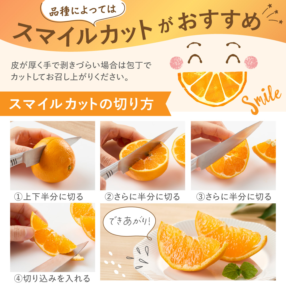 旬のミカンをお届け！JAむなかた柑橘ブランド「姫神」3kg 甘くておいしいみかん【2026年1月～4月上旬発送】【ほたるの里】_HA0281