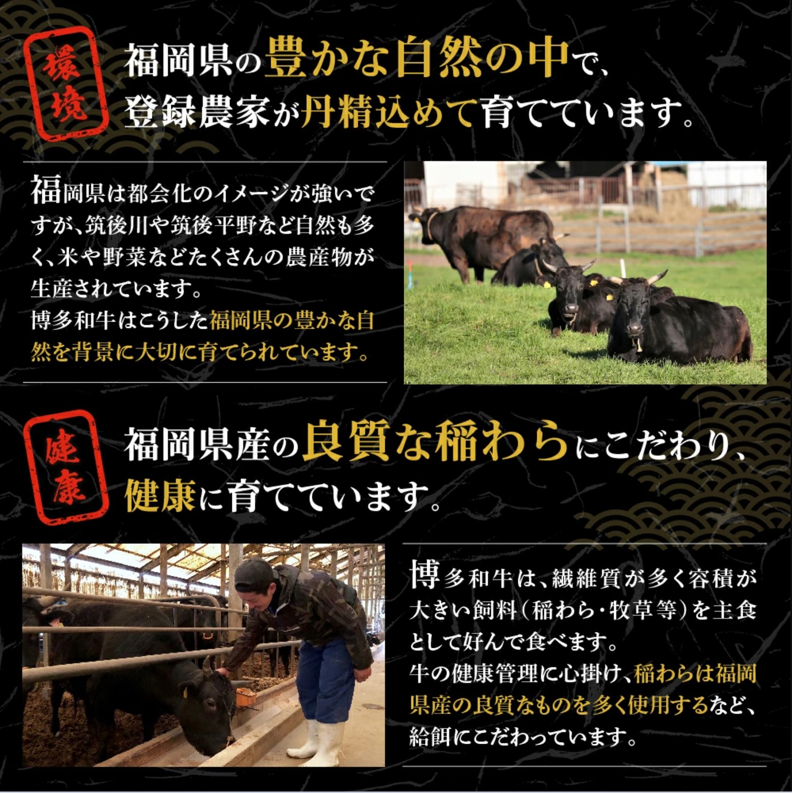 黒毛和牛 (博多和牛) 切り落とし 2.0kg(400g×5パック）【伊豆丸商店】_HA1958