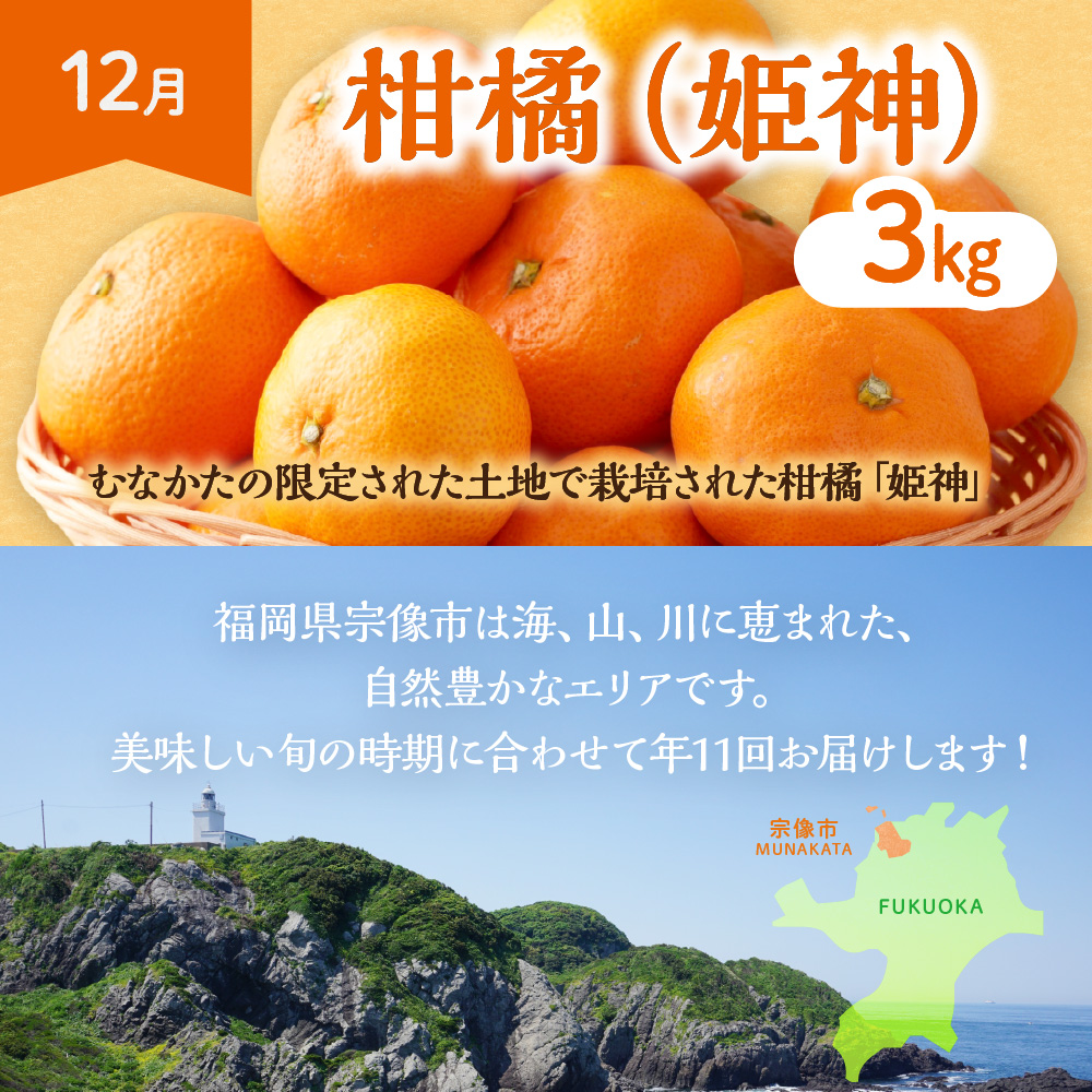 【定期便/年11回】JAむなかた厳選！旬のフルーツ定期便【JAほたるの里】_HB0171