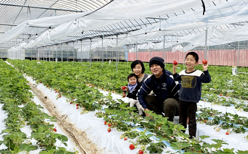 プレミアムオーガニックあまおう 「いせいちご」 スペシャルギフト【伊世いちご畑】_HA0480