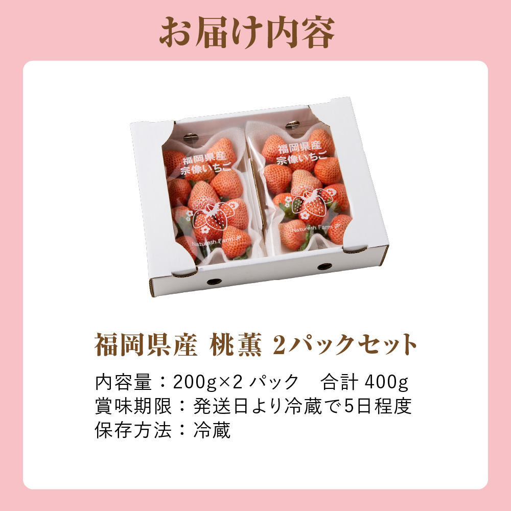 【先行予約】【2025年12月中旬より順次発送】福岡県産　桃薫　2パックセット【ナチュレッシュ・ファーム・ジェイピー】_HA1338