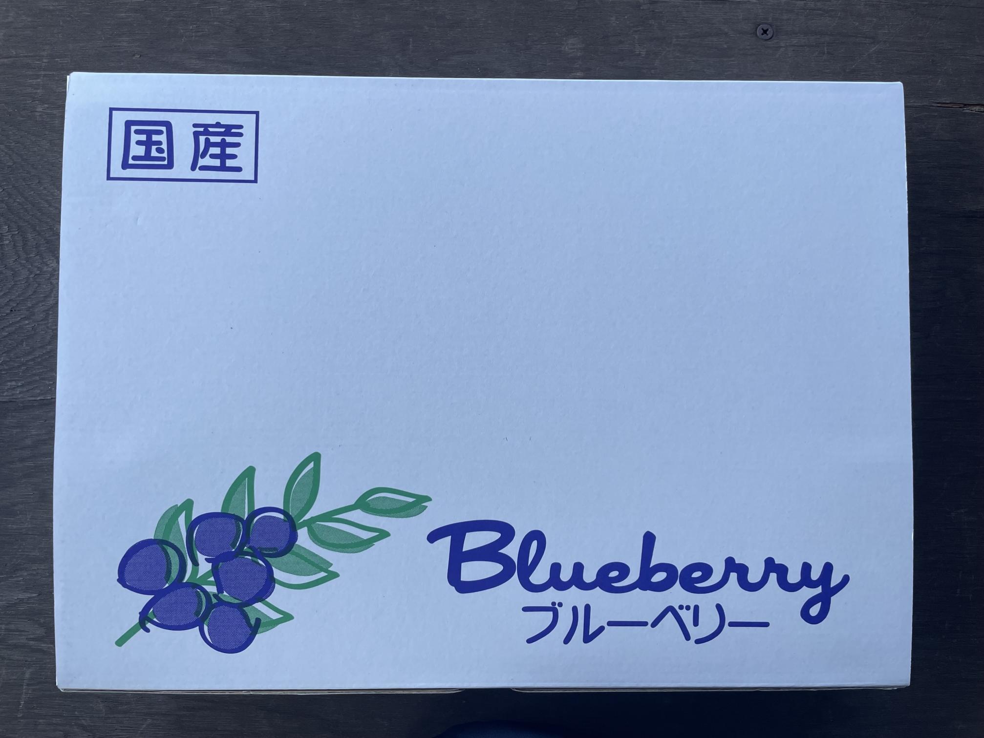【数量限定】【2026年4月末より順次発送】お驚きの大きさ！大粒ブルーベリー(1kg) 農薬不使用 有機栽培【えのさんのブルーベリー園】_HA1355