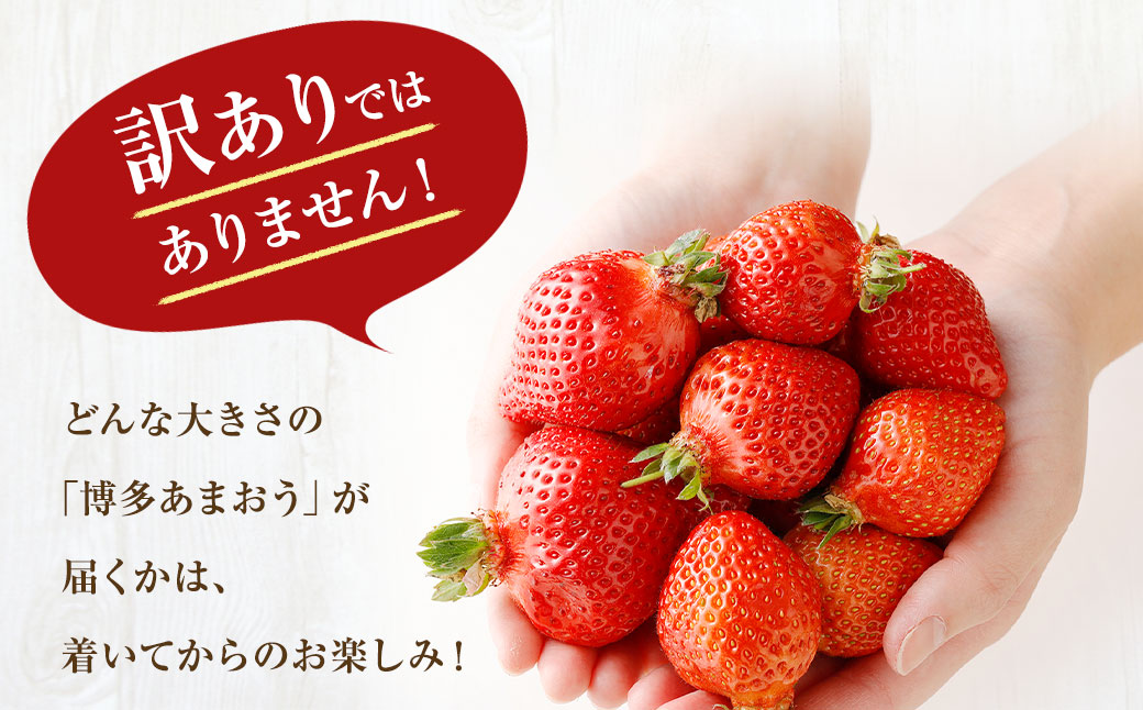 【定期便／3ヶ月連続お届け】アフター保証 博多あまおう 約280g×2パック 計3回 総量1.68kg 3カ月定期便【JAほたるの里】_HB0075