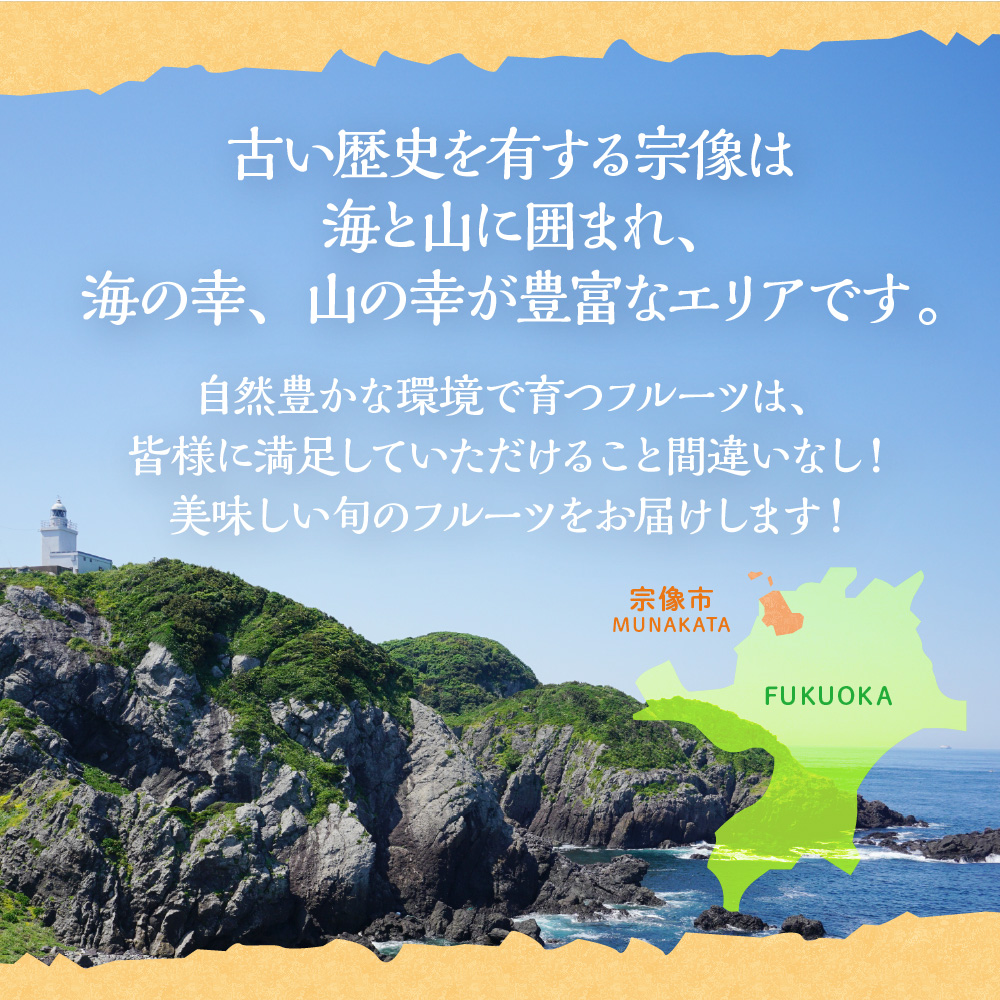 【定期便/年４回】旬の福岡フルーツ定期便【ほたるの里】_HB0087