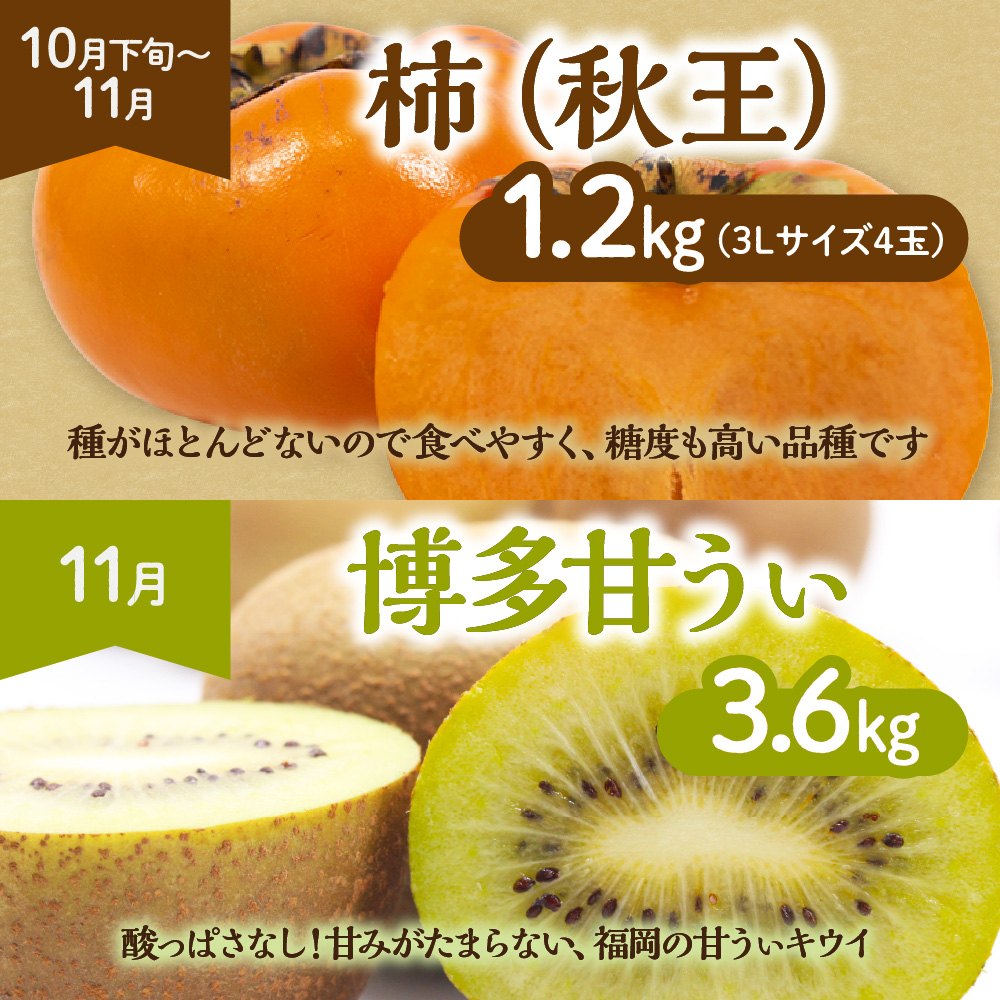 【定期便/年11回】JAむなかた厳選！旬のフルーツ定期便【JAほたるの里】_HB0171