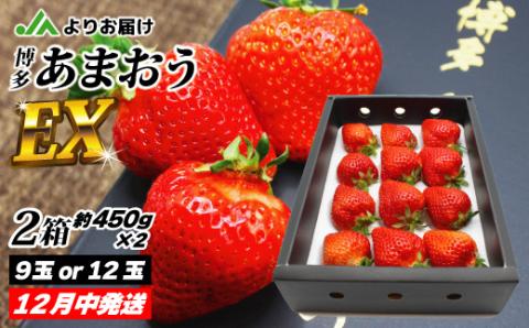 12月発送！「博多あまおう」EX　贈答用化粧箱　約450g 2箱【ほたるの里】_KA0755